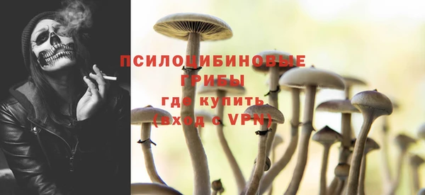 ECSTASY Саяногорск