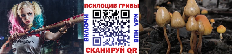 Псилоцибиновые грибы ЛСД  наркотики  Сорск 